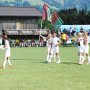 tirol 208